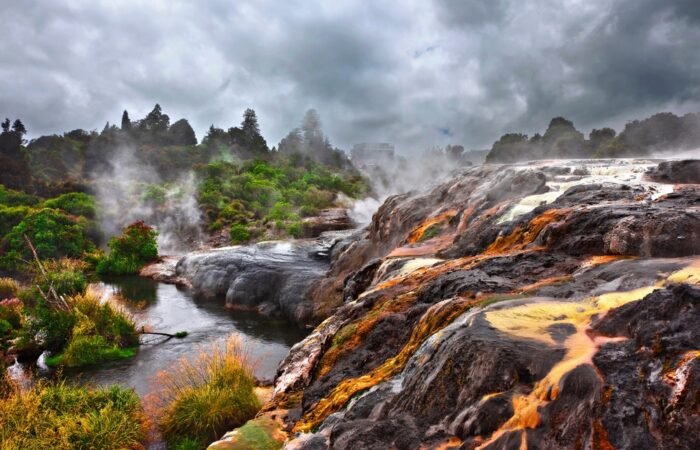 Auckland Rotorua Wellington