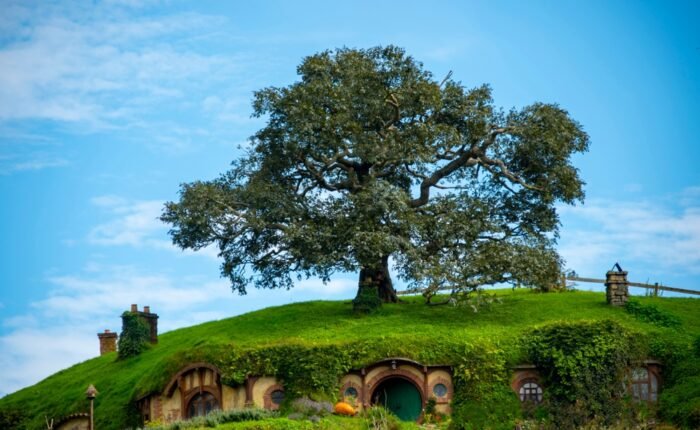 Auckland and Rotorua