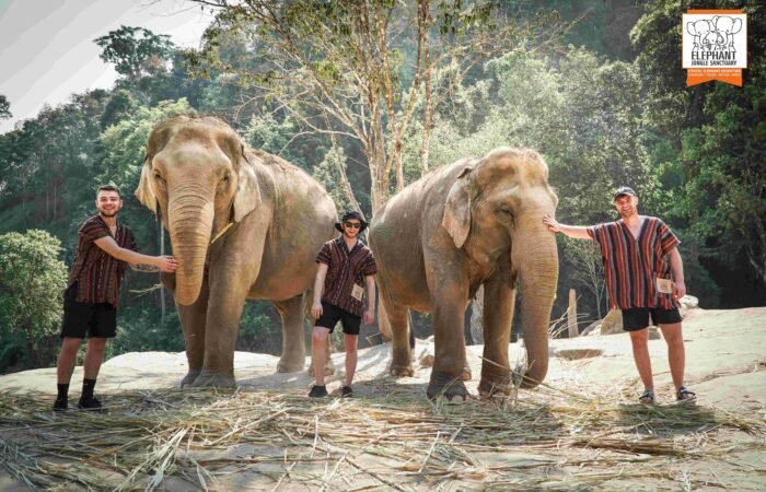 Chiang Mai Elephant Sanctuary