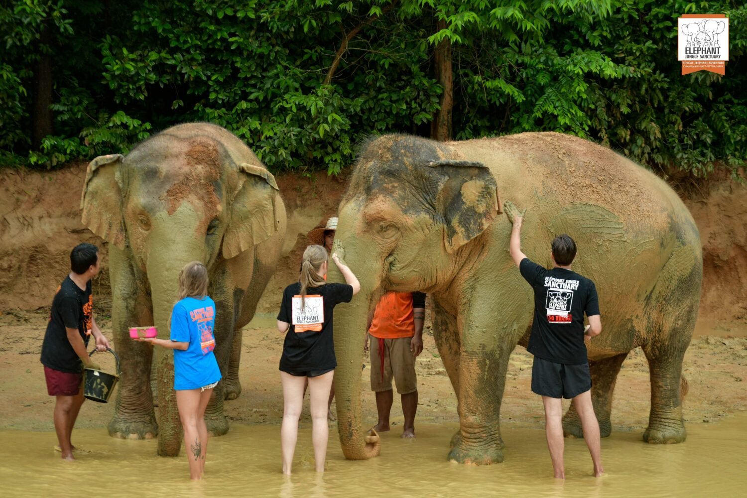 Phuket Elephant Sanctuary