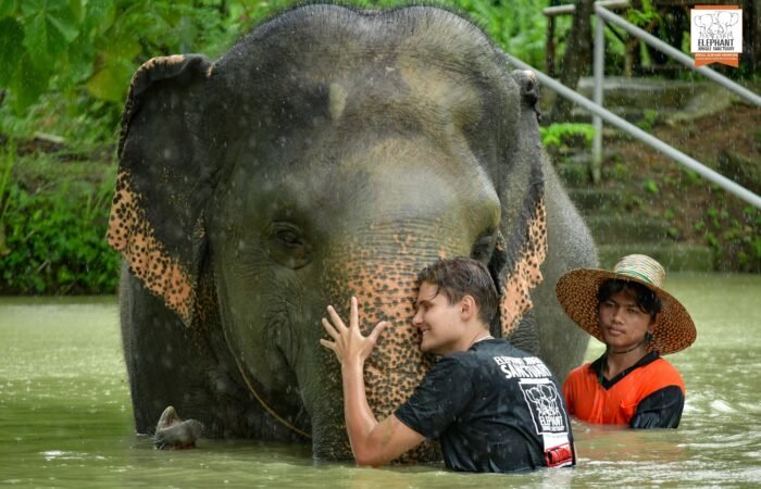 Phuket Elephant Sanctuary