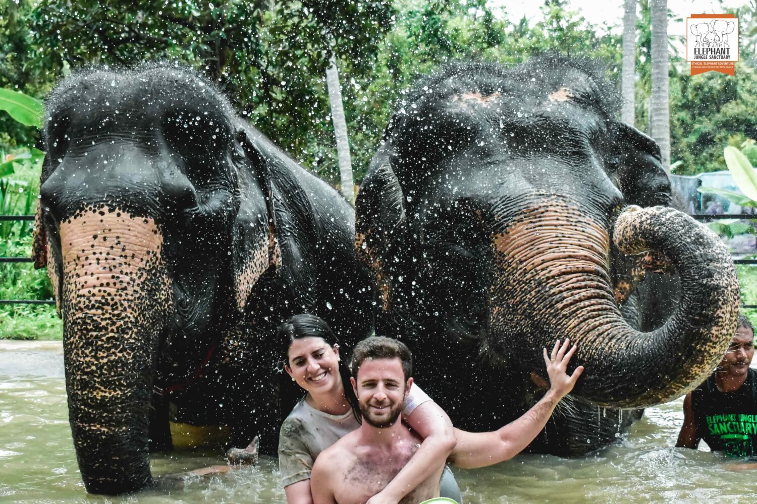 Koi Samui Elephant Sanctuary