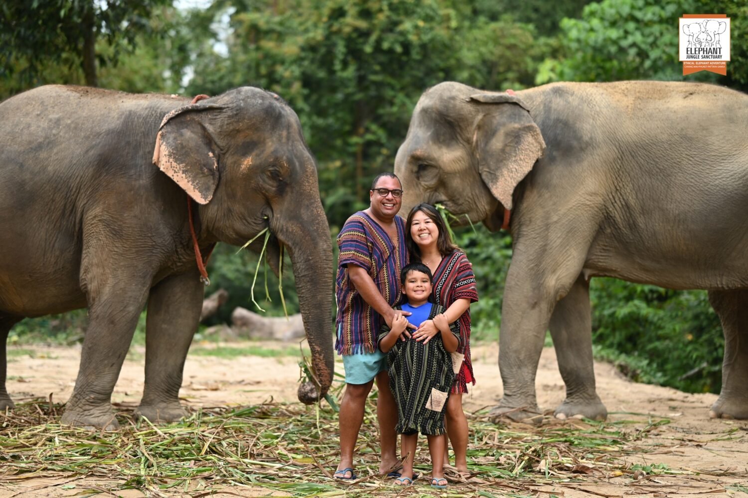 Koh Samui Elephant Sanctuary