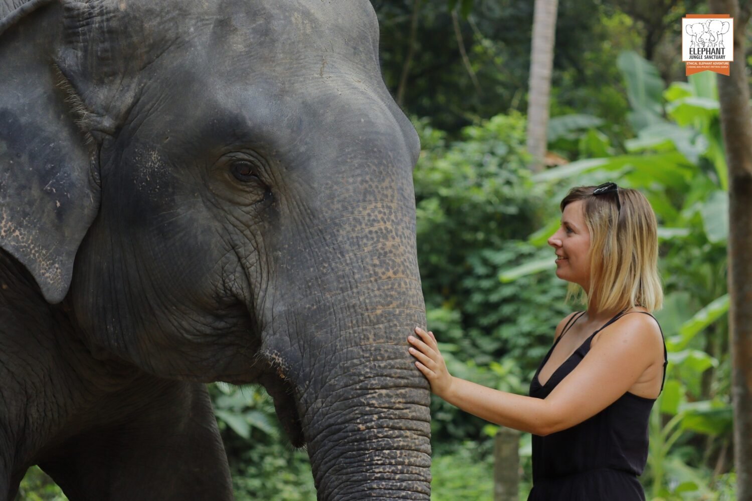 Koh Samui Elephant Sanctuary