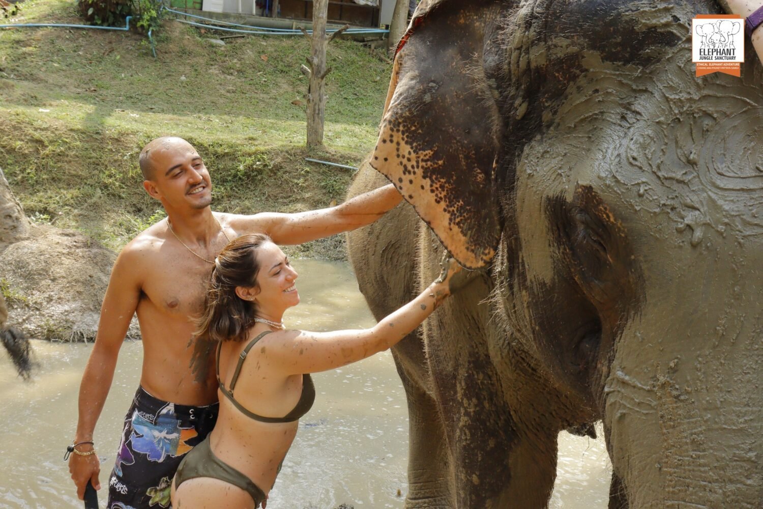 Koh Samui Elephant Sanctuary