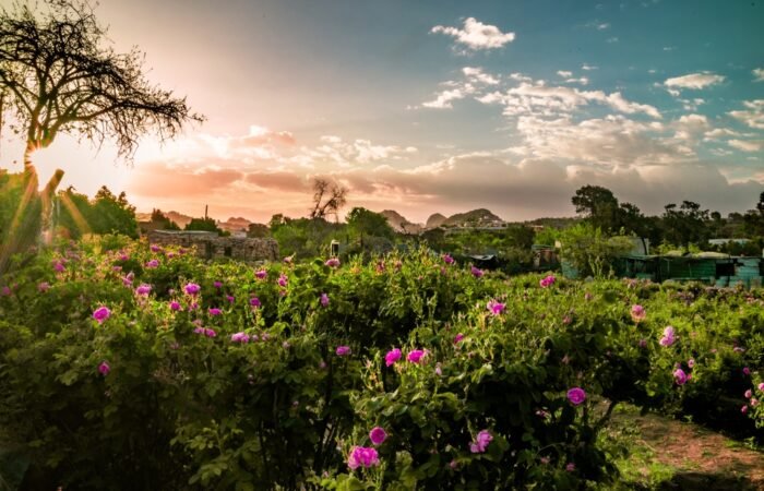 The Right Experience KSA